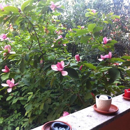 Navigli Downtown Cocco House Apartment Milano Ngoại thất bức ảnh
